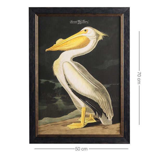 White Pelican Framed Wall Art x 50cm