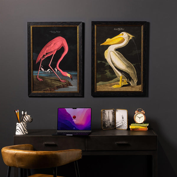 White Pelican Framed Wall Art x 95cm