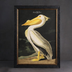 White Pelican Framed Wall Art x 95cm