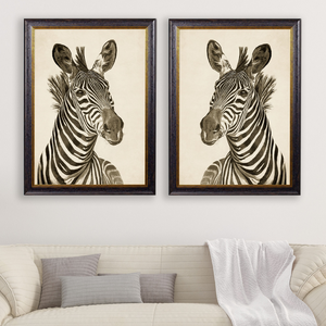 Zebra Framed Wall Art - Set of 2 x 95cm