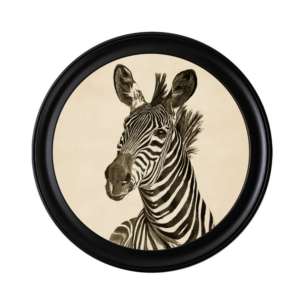 Zebra Framed Wall Art - Set of 2 x 120cm