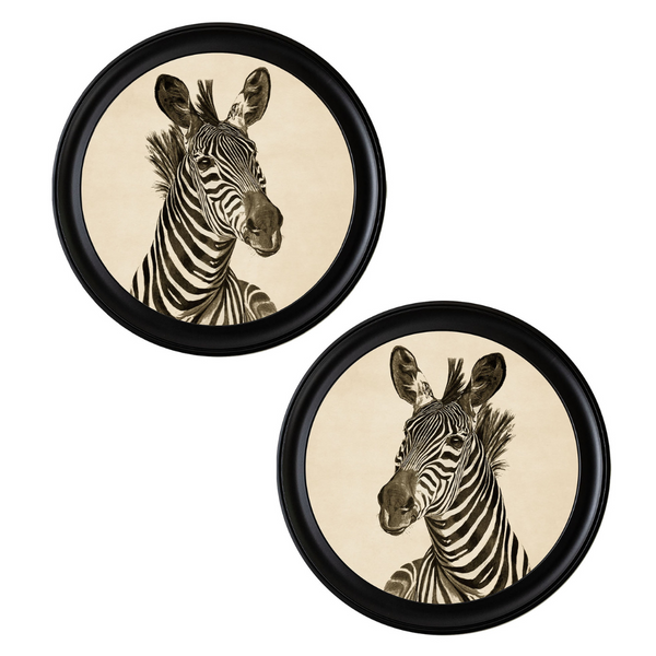 Zebra Framed Wall Art - Set of 2 x 44cm