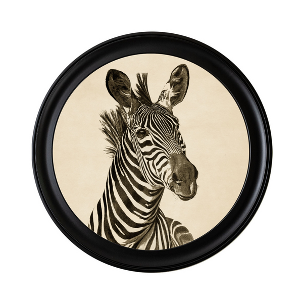 Zebra Framed Wall Art - Set of 2 x 70cm